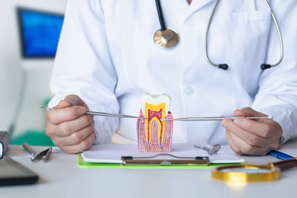 Best 24-Hour Emergency Dental Care in Fountainhead Orchard Hills, MD